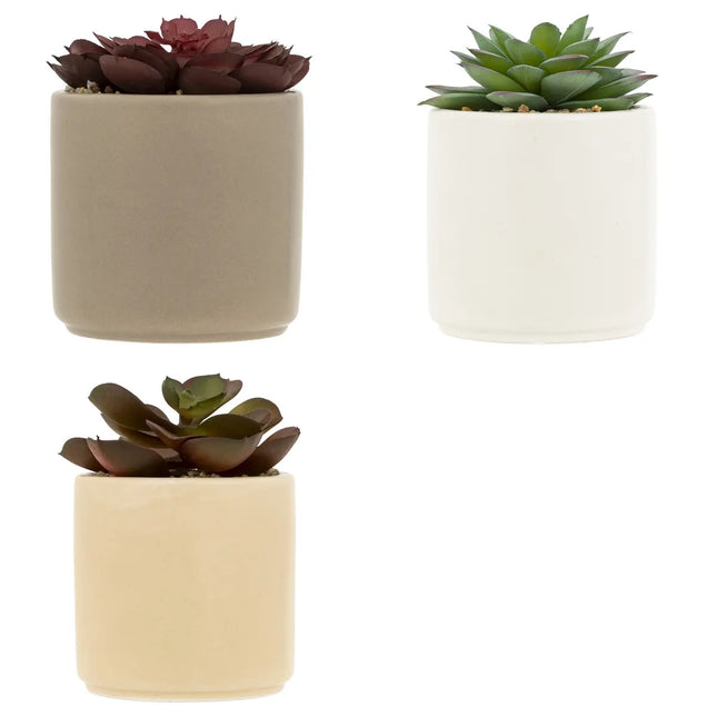 Suculenta artificial "Nils" en maceta de cerámica A12cm - 204282