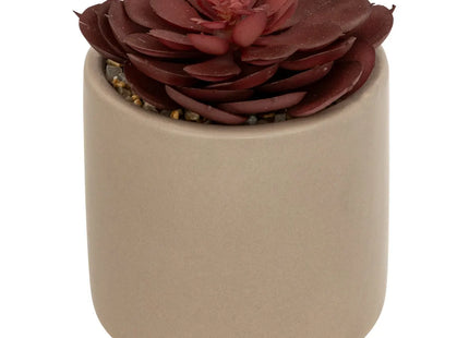 Suculenta artificial "Nils" en maceta de cerámica A12cm - 204282