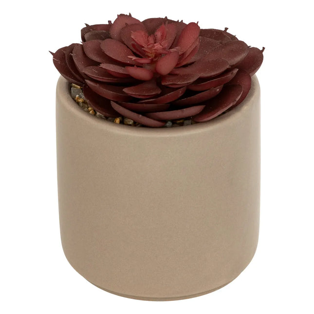 Suculenta artificial "Nils" en maceta de cerámica A12cm - 204282