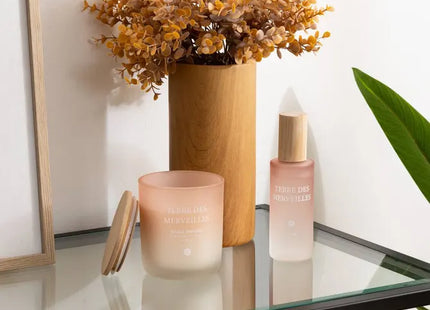 Vela aromática "Sana" con aroma a Terre des Merveilles, 255gr - 204705D