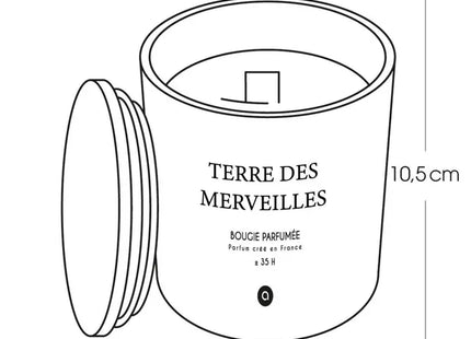 Vela aromática "Sana" con aroma a Terre des Merveilles, 255gr - 204705D