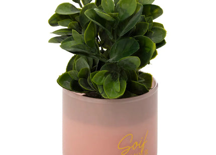 Planta artificial en maceta "Tayli" A18cm - 206529