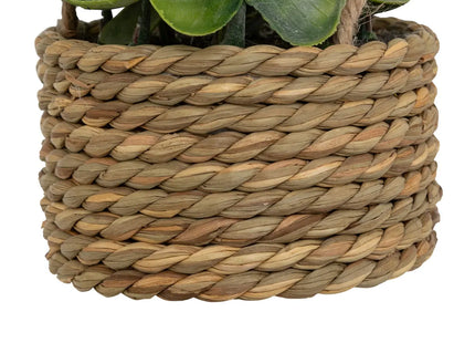 Planta colgante artificial "Patri" A47cm 3 modelos - 206530