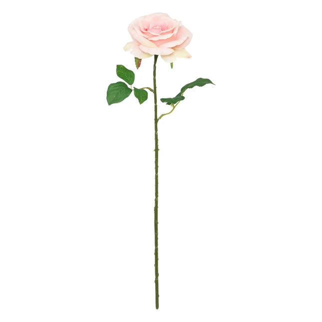 Tallo de rosa artificial "Nexi" A50cm - 206540