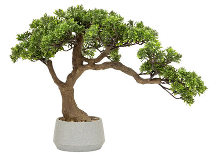 Bonsái "Polin" maceta de cerámica A45cm - 206548