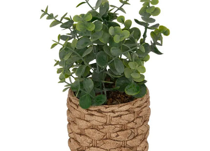 Eucalipto artificial en maceta "Jaye" A27cm - 206559