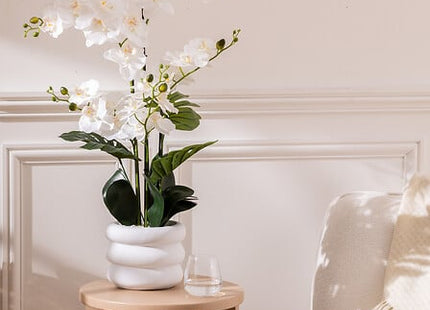 Orquídea "Mick" altura 80 cm con maceta de cerámica blanca - 206610