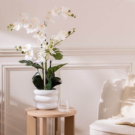 Orquídea "Mick" altura 80 cm con maceta de cerámica blanca - 206610