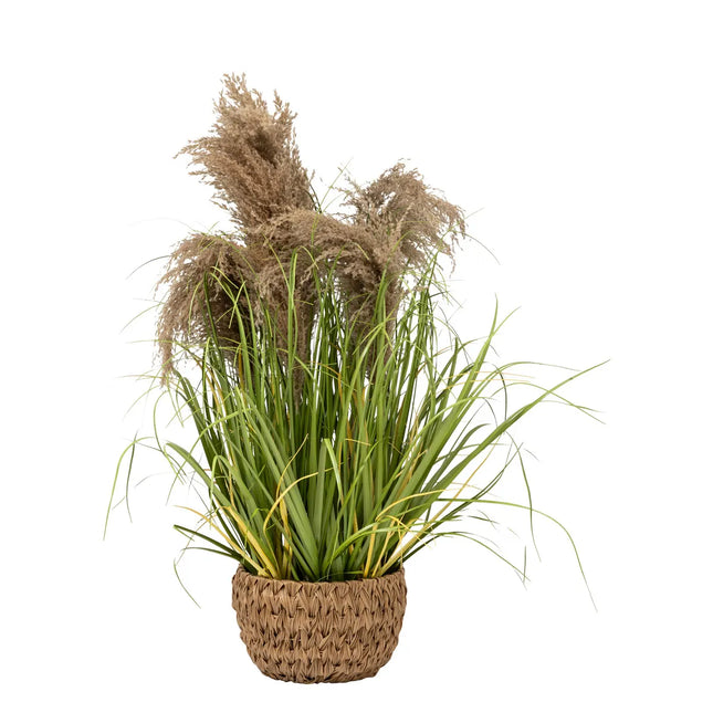 Planta artificial en maceta "Maxime" A80cm - 206637