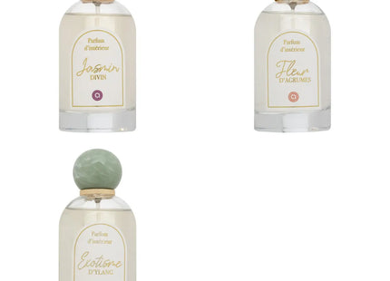 Aerosol de ambiente “Wild romance” 100ml - 207032