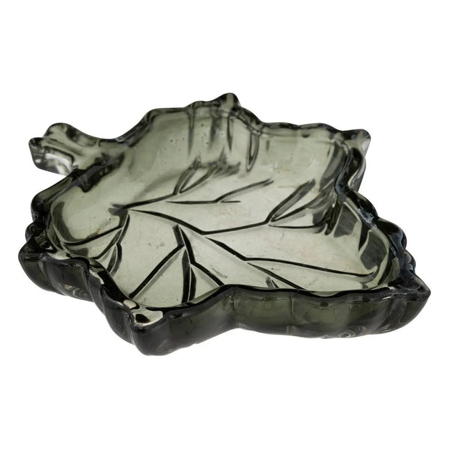 PLATO VIDRIO OJA L14cm - 208267