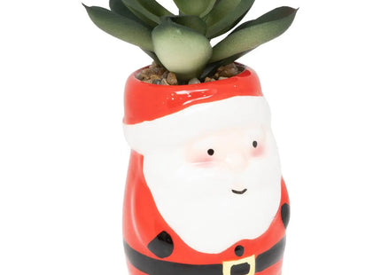 Planta navideña  A11cm - 208319