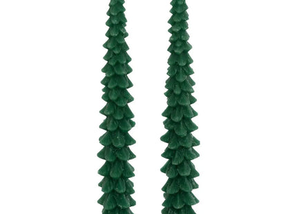 Juego de 2 velas de abeto verde - 208429B