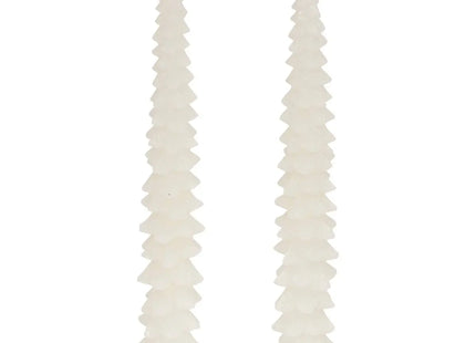 Juego de 2 velas de abeto blanco - 208429C