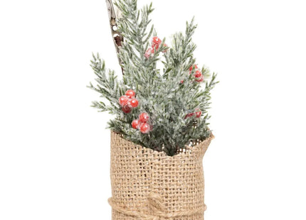 Arreglo de bayas "Berry Knight" - 208442