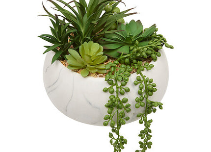 Planta suculenta "Jesty" A18 cm maceta de cerámica  - 210115