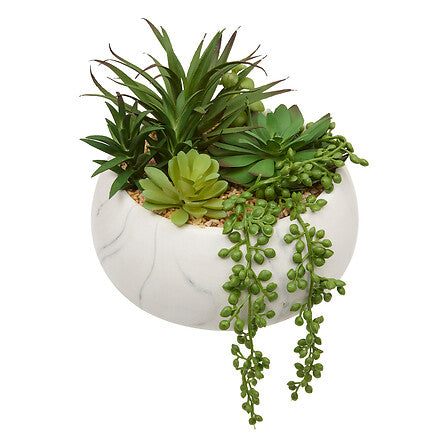Planta suculenta "Jesty" A18 cm maceta de cerámica  - 210115