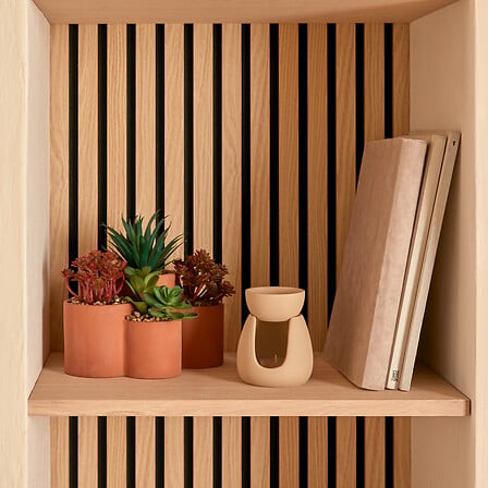 Planta suculenta "Wonj" A20 cm maceta de terracota  - 210147