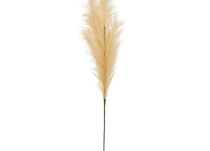 Tallo pampas artificial "Adna" altura 90 cm beige - 210171