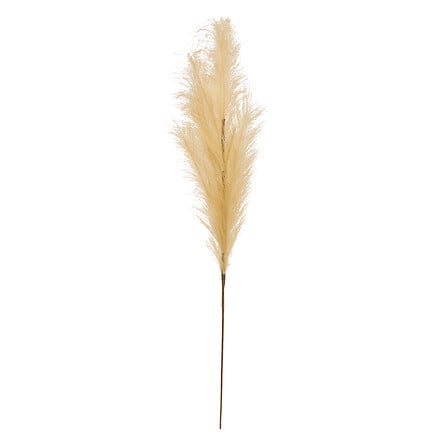 Tallo pampas artificial "Adna" altura 90 cm beige - 210171