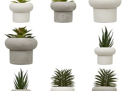 Planta suculenta "Stefi" A15 cm maceta de cemento surtida  - 210231