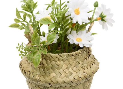 Arreglo de flores Tifi "Daisy" A17cm - 214053