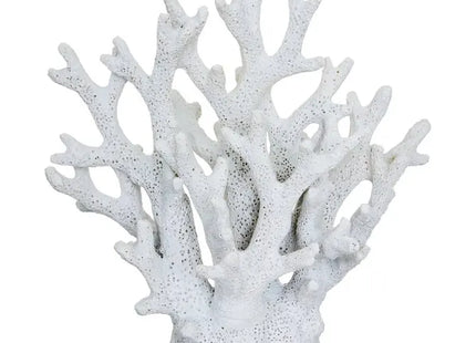Objeto decorativo de coral "Ocea" 17x17cm - 214877