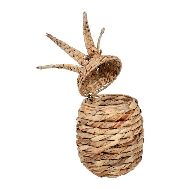 Caja en forma de piña de jacinto de agua A31cm - 33183