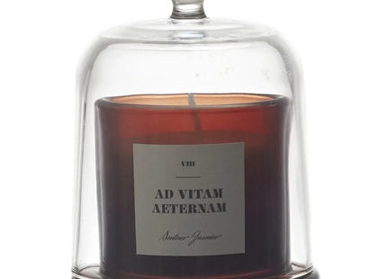 Vela perfumada con flor de naranja en tarro de vidrio bajo una campana decorada - BO0029