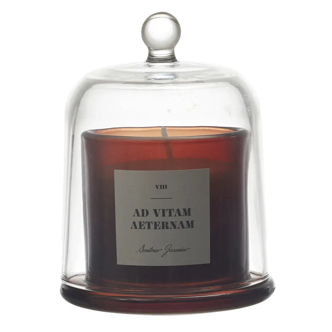 Vela perfumada con flor de naranja en tarro de vidrio bajo una campana decorada - BO0029