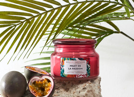 Vela perfumada en tarro de cristal EXOTIC PARADISE 440 gr - BO0121