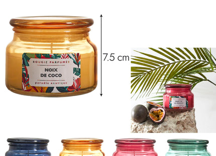 Vela perfumada en tarro de cristal EXOTIC PARADISE 440 gr - BO0121